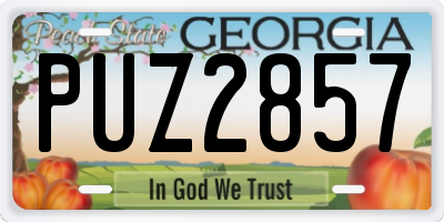 GA license plate PUZ2857