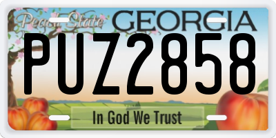 GA license plate PUZ2858