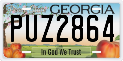 GA license plate PUZ2864