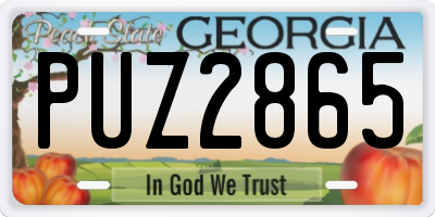 GA license plate PUZ2865