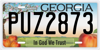 GA license plate PUZ2873