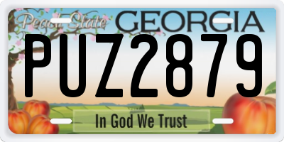 GA license plate PUZ2879