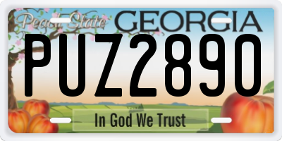 GA license plate PUZ2890