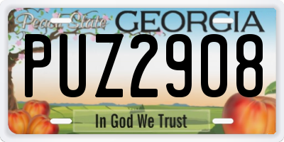 GA license plate PUZ2908