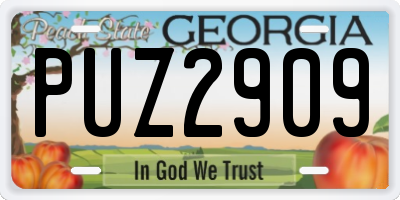 GA license plate PUZ2909