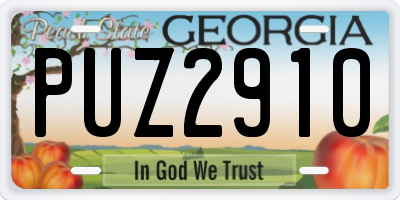 GA license plate PUZ2910