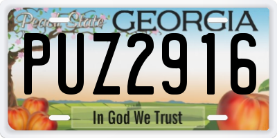 GA license plate PUZ2916