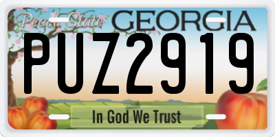 GA license plate PUZ2919