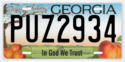GA license plate PUZ2934