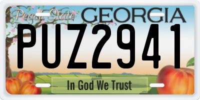 GA license plate PUZ2941