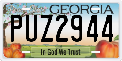 GA license plate PUZ2944