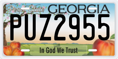 GA license plate PUZ2955