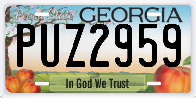 GA license plate PUZ2959