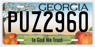 GA license plate PUZ2960