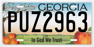 GA license plate PUZ2963