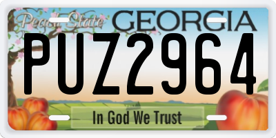 GA license plate PUZ2964
