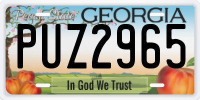 GA license plate PUZ2965