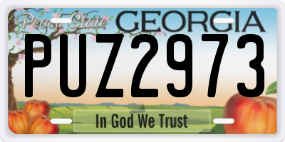 GA license plate PUZ2973