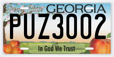 GA license plate PUZ3002