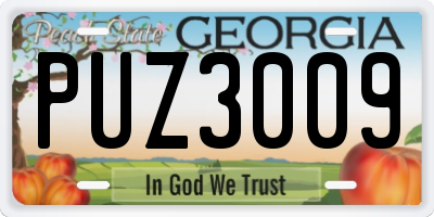 GA license plate PUZ3009