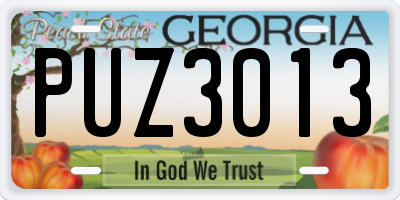 GA license plate PUZ3013