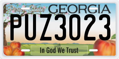 GA license plate PUZ3023