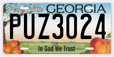 GA license plate PUZ3024