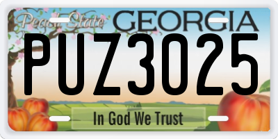 GA license plate PUZ3025