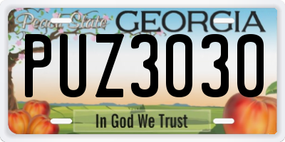 GA license plate PUZ3030