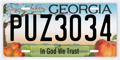 GA license plate PUZ3034