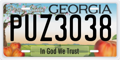 GA license plate PUZ3038