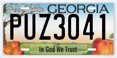 GA license plate PUZ3041