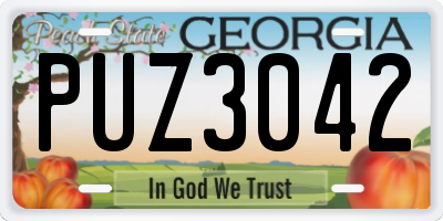 GA license plate PUZ3042