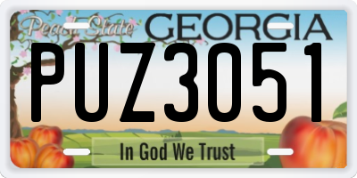 GA license plate PUZ3051