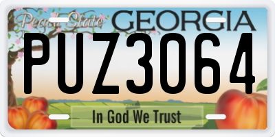 GA license plate PUZ3064