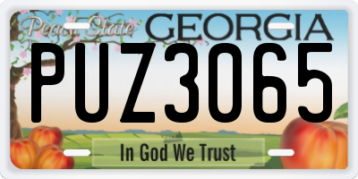 GA license plate PUZ3065