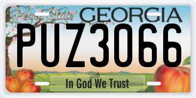 GA license plate PUZ3066
