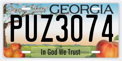 GA license plate PUZ3074