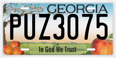 GA license plate PUZ3075