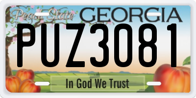 GA license plate PUZ3081
