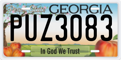 GA license plate PUZ3083