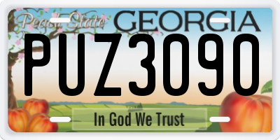 GA license plate PUZ3090