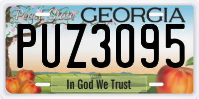GA license plate PUZ3095