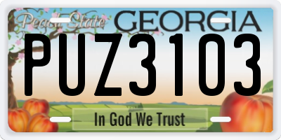 GA license plate PUZ3103