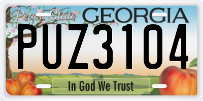 GA license plate PUZ3104