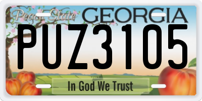 GA license plate PUZ3105
