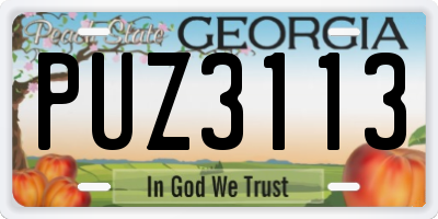 GA license plate PUZ3113