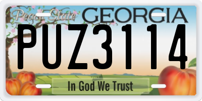 GA license plate PUZ3114