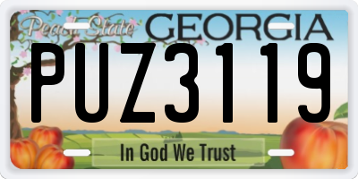 GA license plate PUZ3119