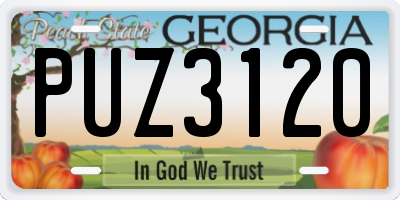 GA license plate PUZ3120